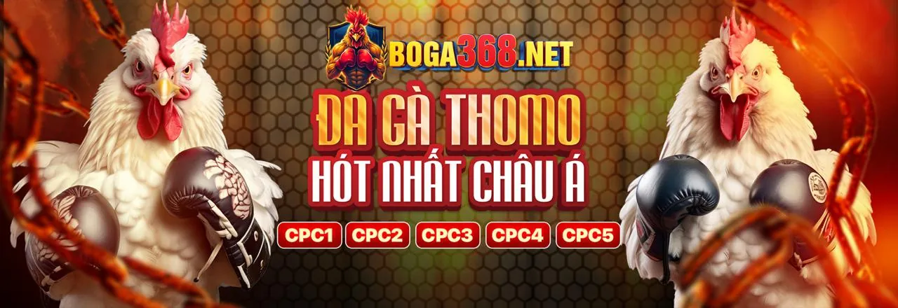Đá Gà Trực Tuyến Hấp Dẫn tại Kingbet86pro